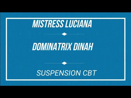 german cbt cock and ballbusting