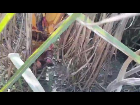 bangladeshi outdoor village sex