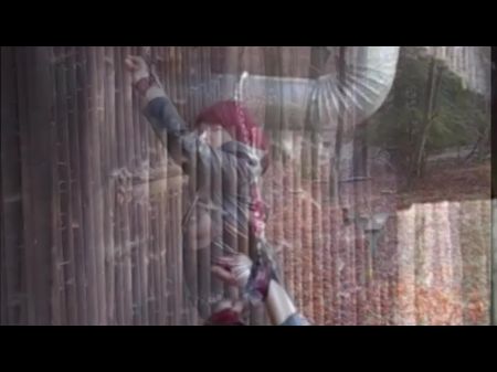 mother sun sex forest